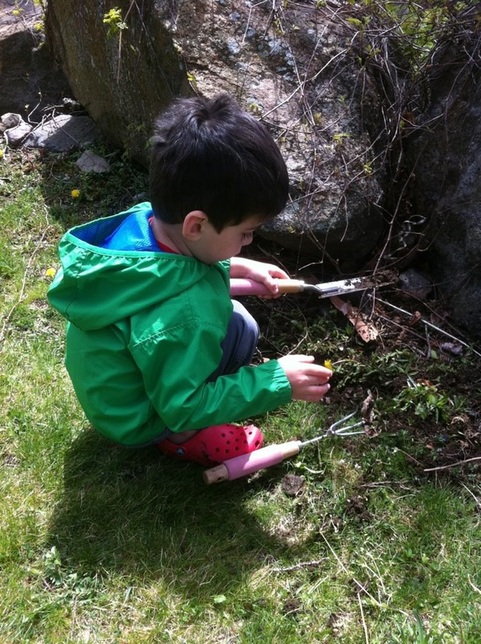Young boy digging in a garden